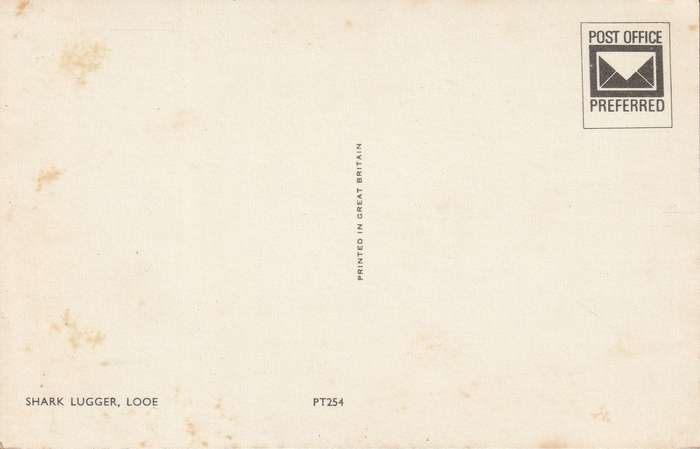 UN USED  VINTAGE POST CARD SHARK LUGGER LOOE