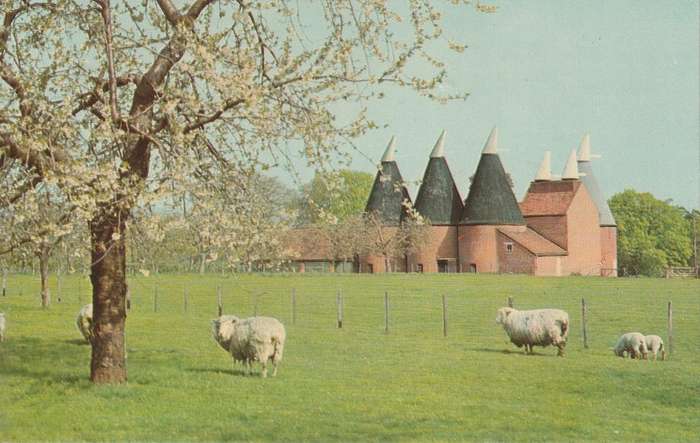 UN USED  VINTAGE POST CARD KENT