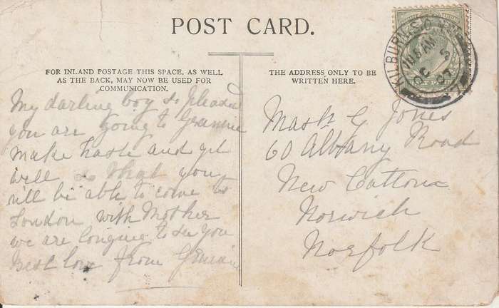 USED POST CARD BEECHWOOD COTTAGE MOUNT EDGCUMBE 1907