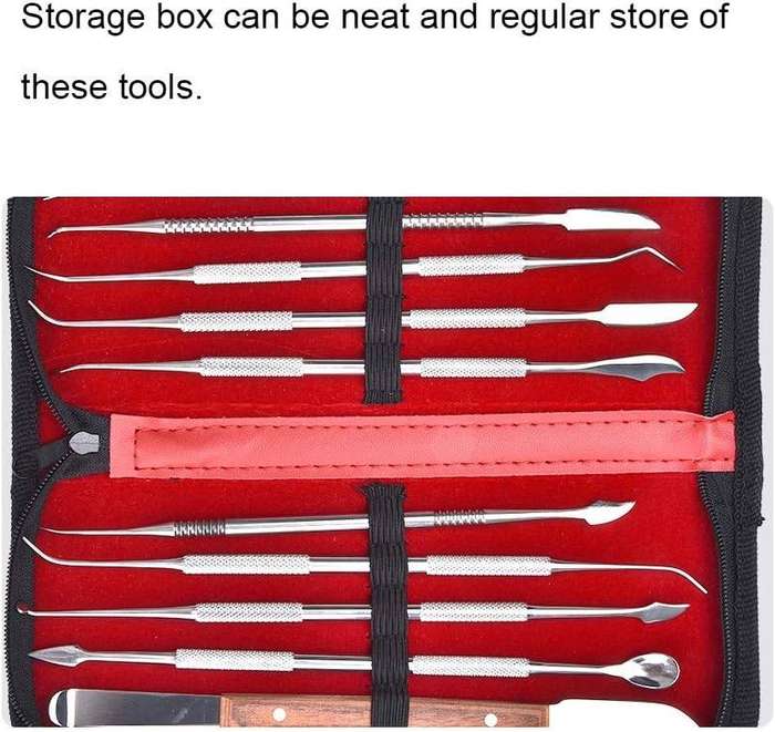 10 Piece Stainless Steel Dental Tool Kit