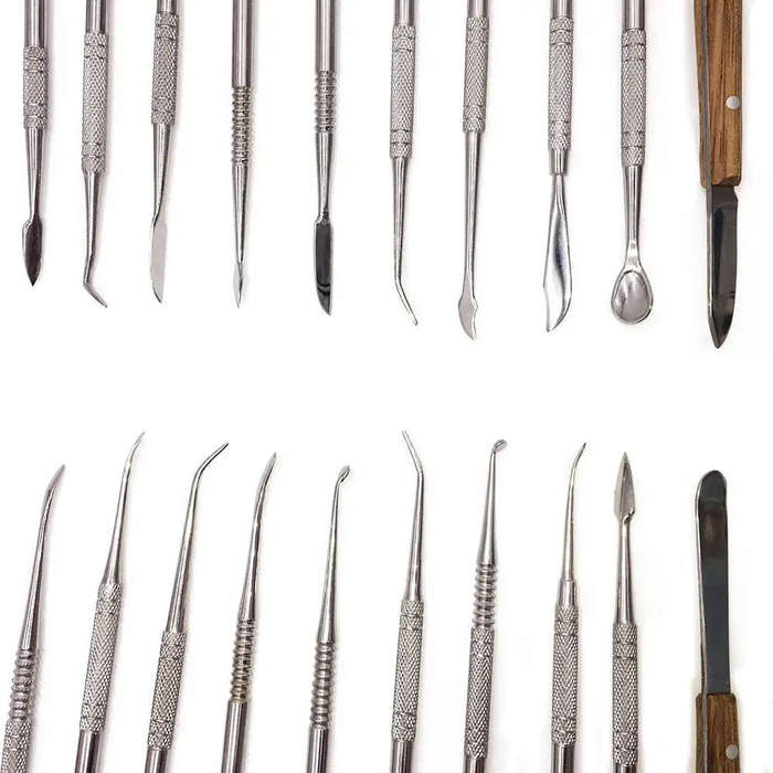 10 Piece Stainless Steel Dental Tool Kit