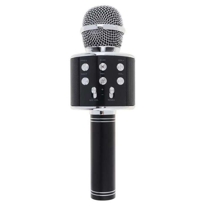 Wireless Karaoke Speaker Mic