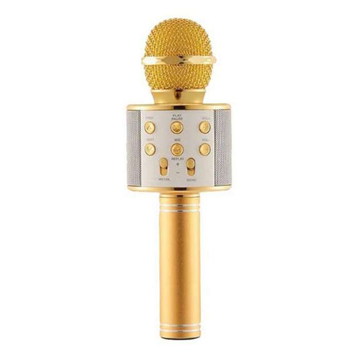 Wireless Karaoke Speaker Mic
