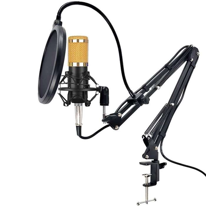 Pro Recording & Broadcasting Microphone