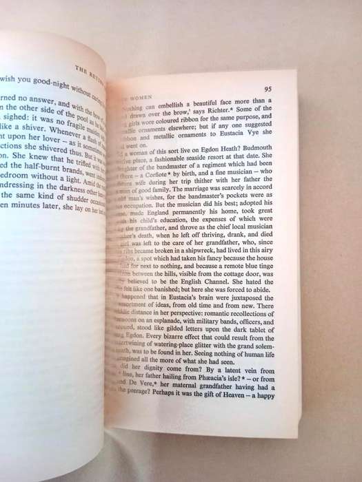 The Return of the Native, Thomas Hardy