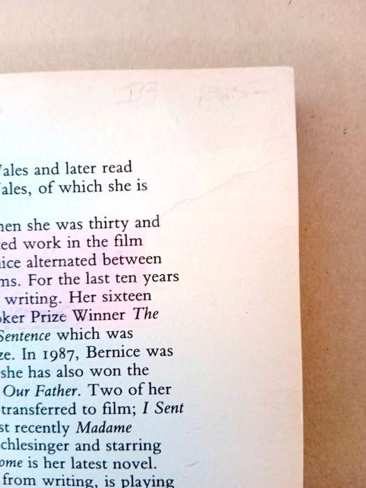 Mr Wakefield's Crusade, Bernice Rubens