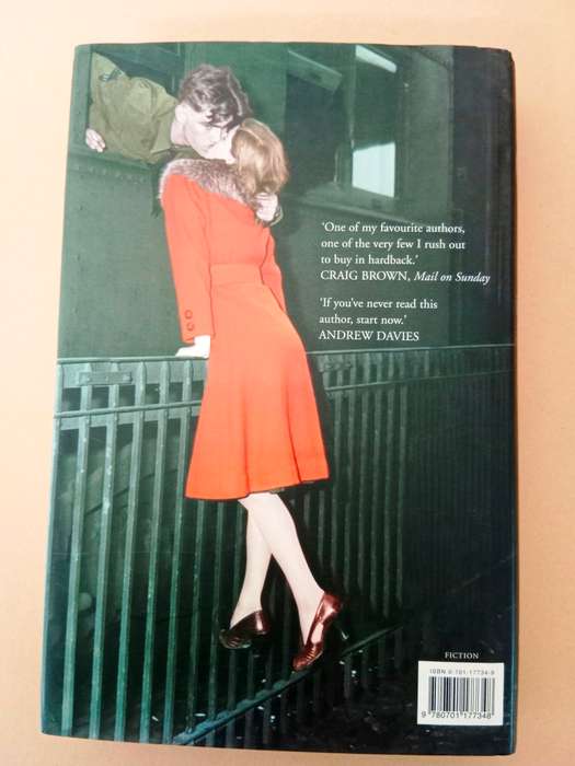 The Amateur Marriage, Anne Tyler