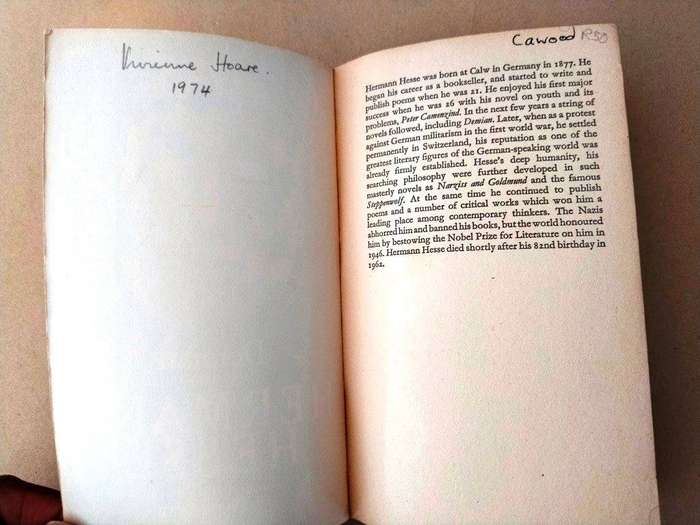 Demian, Herman Hesse