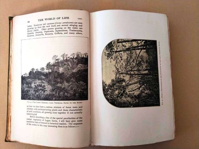 The World of Life, Alfred Russel Wallace [1911 edition by G. Bell and Sons of London]