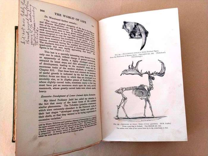 The World of Life, Alfred Russel Wallace [1911 edition by G. Bell and Sons of London]