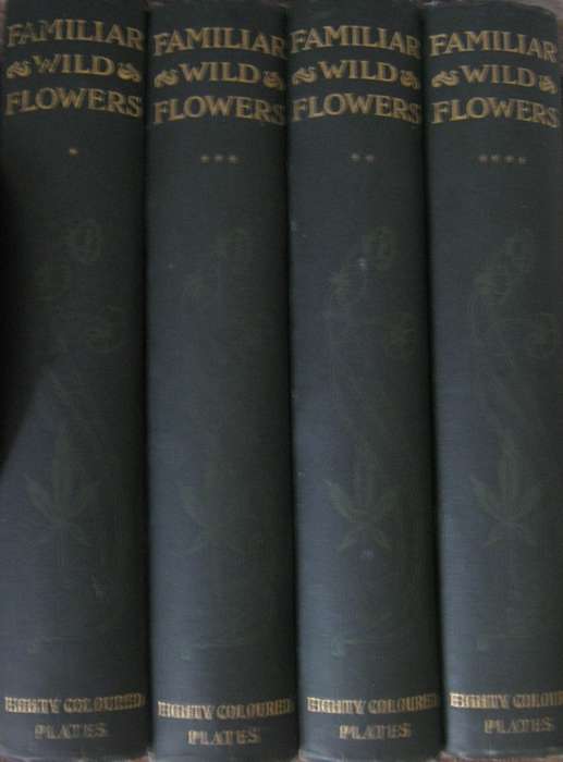 Familiar Wild Flowers  4 Volumes F Edward Hulme