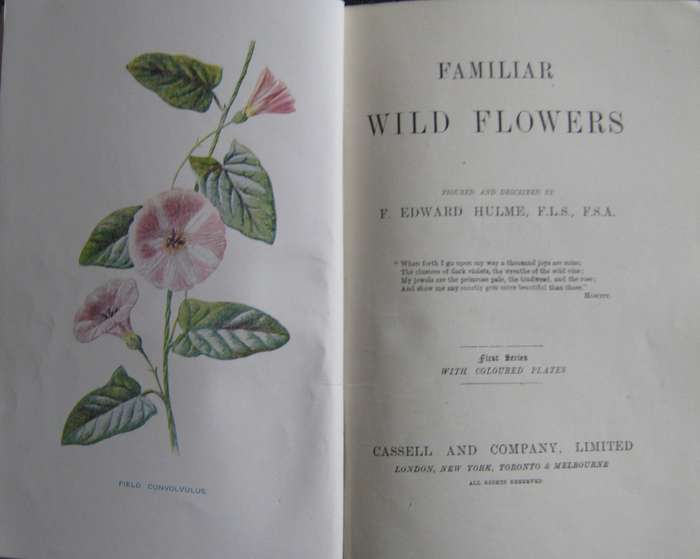 Familiar Wild Flowers  4 Volumes F Edward Hulme