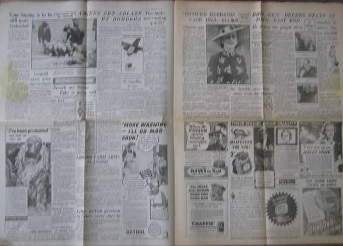 World War 2: Newspaper & Magazine Bundle