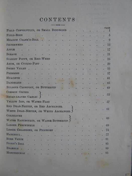 Familiar Wild Flowers  4 Volumes F Edward Hulme
