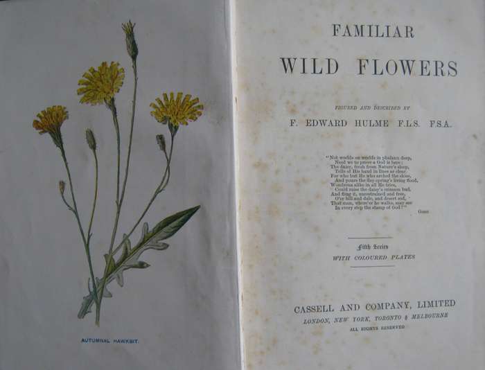 Familiar Wild Flowers  4 Volumes F Edward Hulme