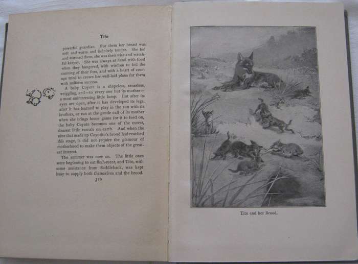 Lives Of The Hunted Ernest Thompson Seton