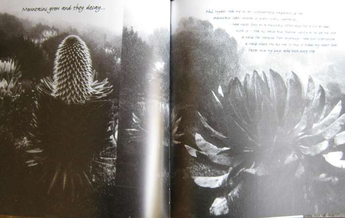 African Visions The Diary of an African Photographer Mirella Ricciardi
