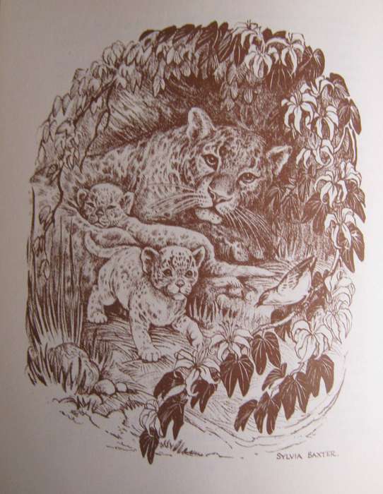African Fireside Tales Part 1. Xhosa. Matabele. Batswana Phyllis Savory