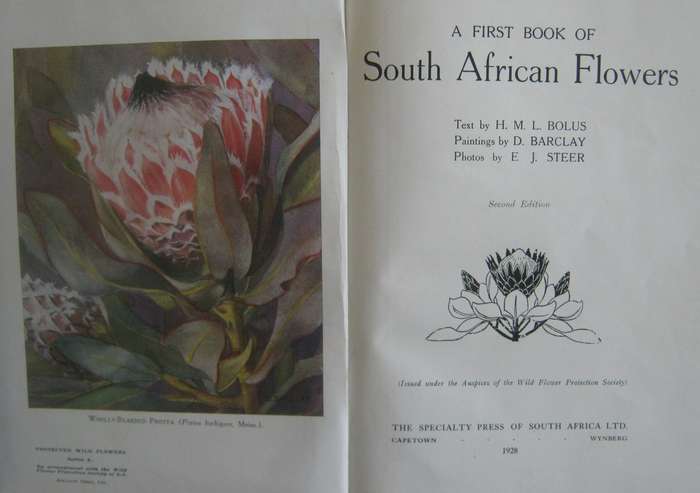 A First Book of South African Flowers