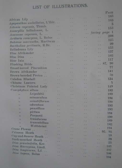 A First Book of South African Flowers