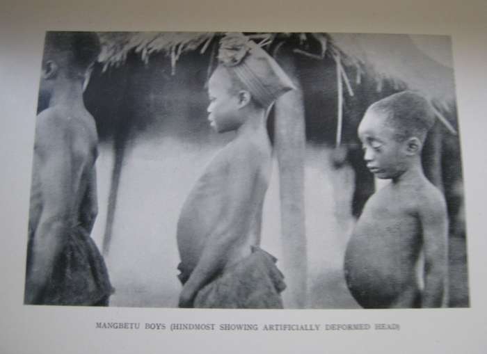 Thrice Through the Dark Continent A Record of Journeyings across Africa during the years 1913-16