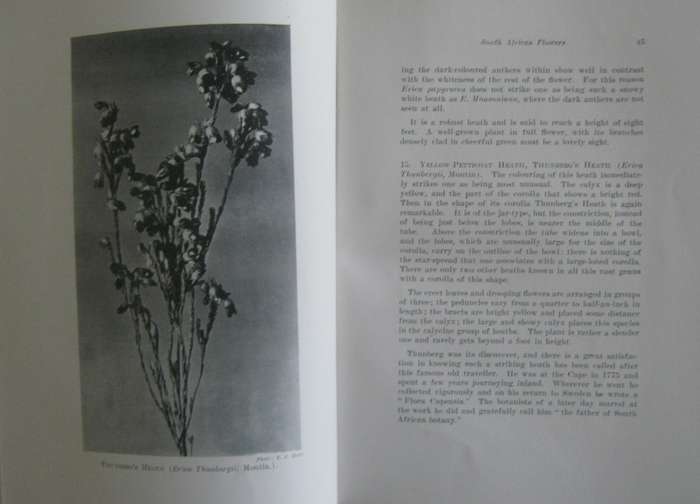 A First Book of South African Flowers