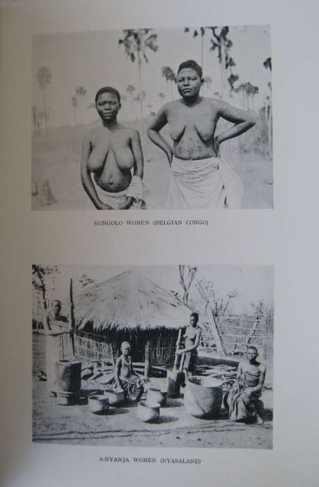 Thrice Through the Dark Continent A Record of Journeyings across Africa during the years 1913-16