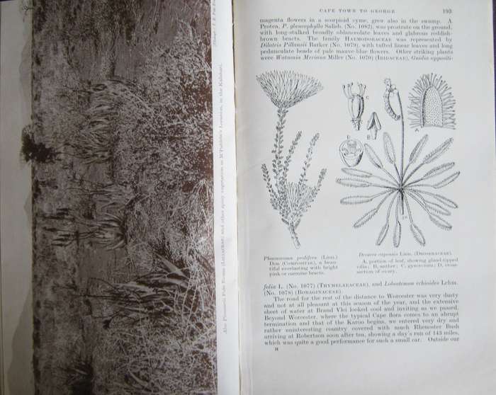 A Botanist in Southern Africa John Hutchinson