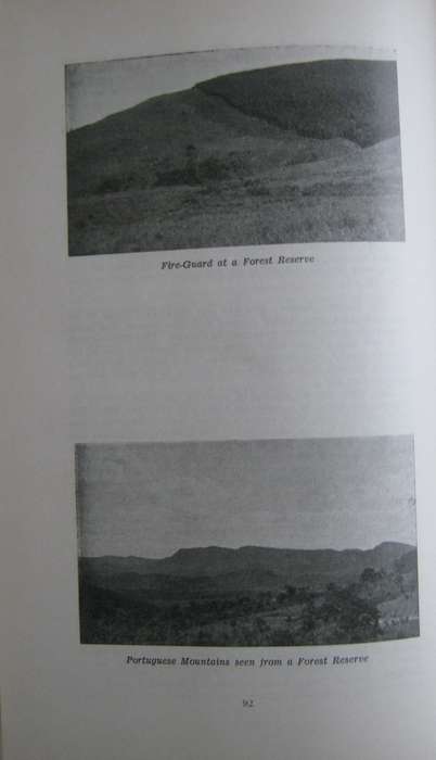 Far Bell Wartime Adventures in Central Africa Barbara Priest