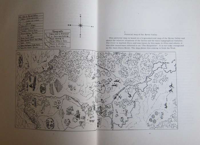 Dear Louisa History of a Pioneer Family in Natal 1850-1888. Ellen McLeod's letters to her sister