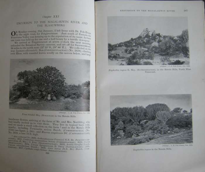 A Botanist in Southern Africa John Hutchinson