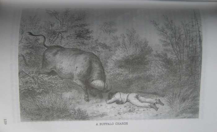 Travels in Southern Africa 2 Volume Set Adulphe Delegorgue