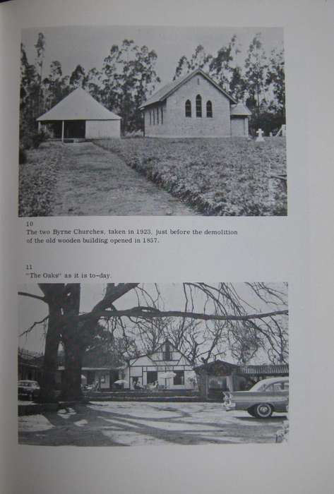 Dear Louisa History of a Pioneer Family in Natal 1850-1888. Ellen McLeod's letters to her sister