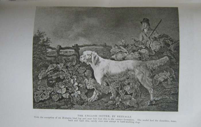 The Complete Shot G T Teasdale-Bucknell