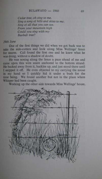 Call of the Marsh. Life with a Basenji Jill Wylie. Illustrated by Sue Ross