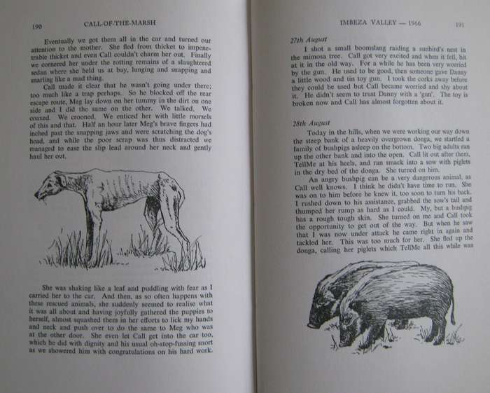 Call of the Marsh. Life with a Basenji Jill Wylie. Illustrated by Sue Ross