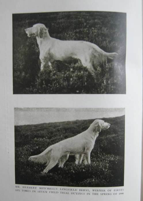 The Complete Shot G T Teasdale-Bucknell