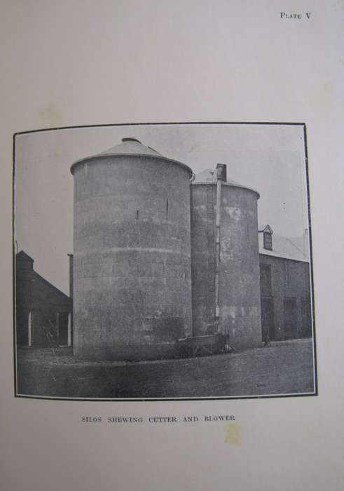 Field Crops in South Africa South African Agricultural Series No 1  Author: H D Leppan & G J Bosman