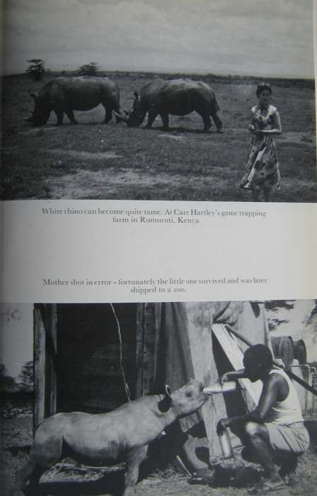 Hunting in Africa Bill Morkel