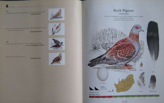 Agreds Game Birds of South Africa Field Identification and Management P J Viljoen.