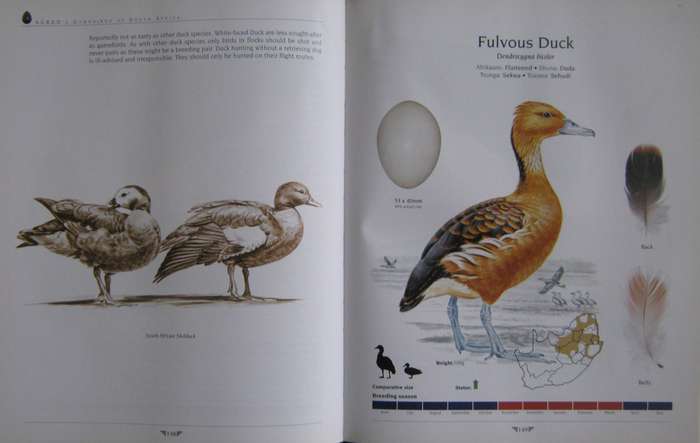 Agreds Game Birds of South Africa Field Identification and Management P J Viljoen.
