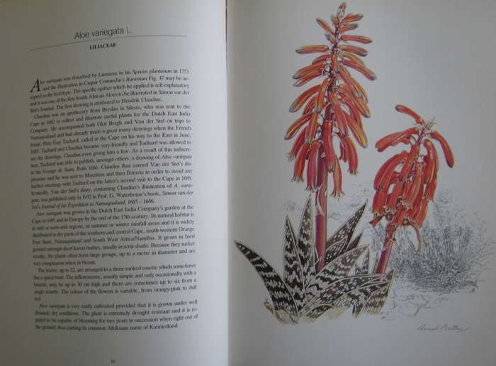 Flowers of Southern Africa Auriel Batten      Publisher: Southern Book Publishers  Edition