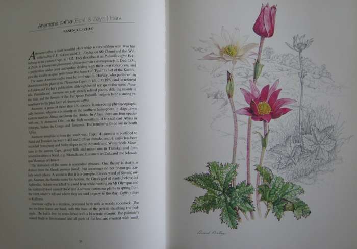 Flowers of Southern Africa Auriel Batten      Publisher: Southern Book Publishers  Edition