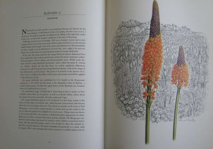 Flowers of Southern Africa Auriel Batten      Publisher: Southern Book Publishers  Edition