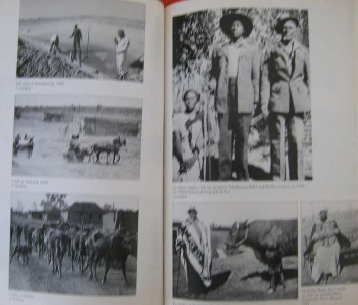The Seed is Mine The Life of Kas Maine A South African Sharecropper 1894 - 1985 Charles van Onselen