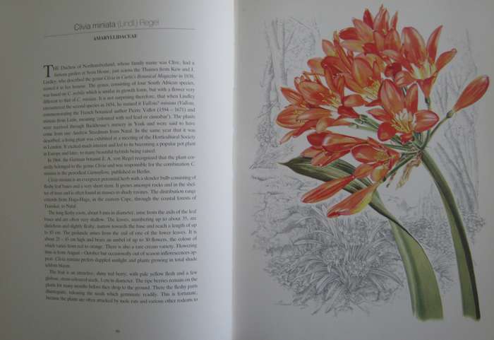 Flowers of Southern Africa Auriel Batten      Publisher: Southern Book Publishers  Edition