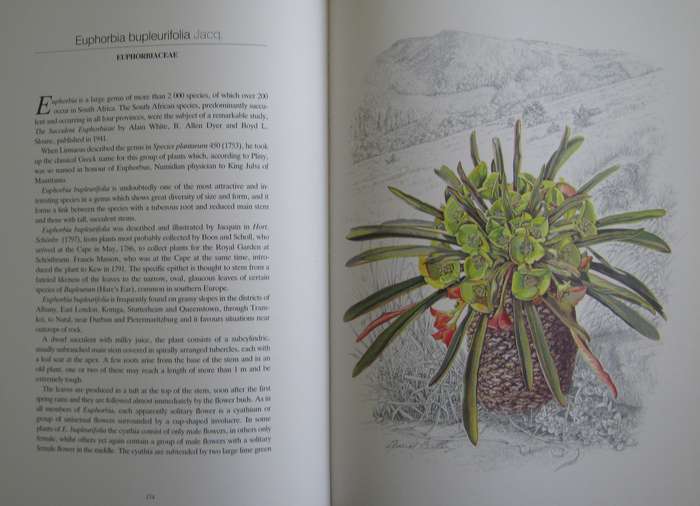 Flowers of Southern Africa Auriel Batten      Publisher: Southern Book Publishers  Edition