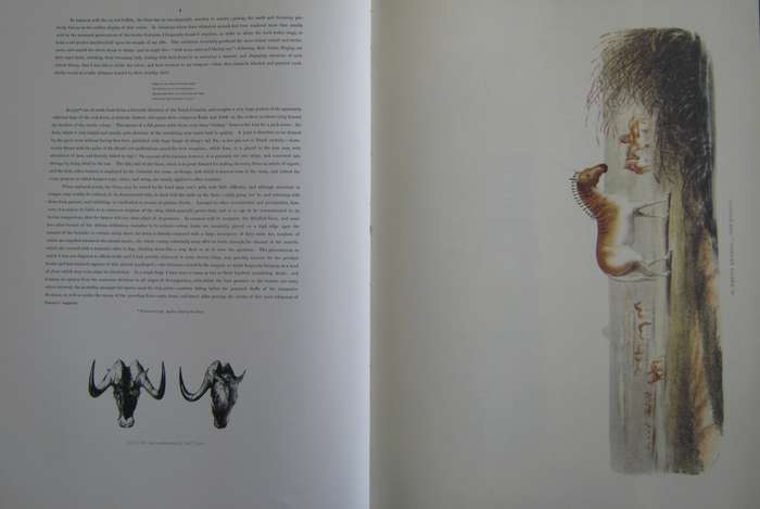 Portraits of the Game and Wild Animals of Southern Africa Captain W. Cornwallis Harris