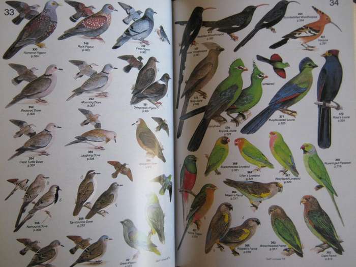 Robert Birds of Southern Africa Deluxe Leather Bound Edition 161/250.