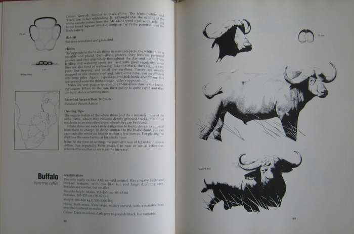 Hunting on Safari in East and Southern Africa Aubrey Wynne-Jones